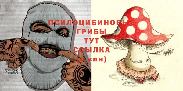 прущие грибы Алзамай