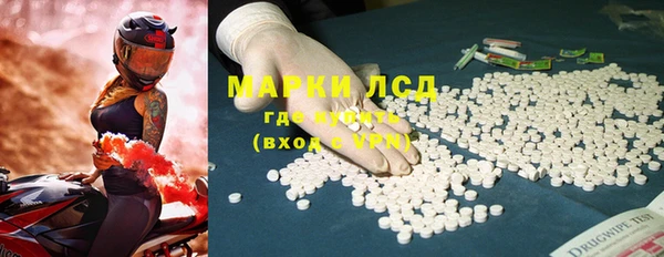 прущие грибы Алзамай